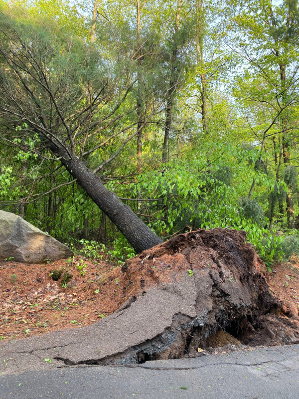 Tornado hits monastery